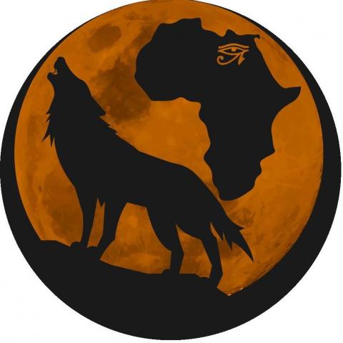 الافريقية