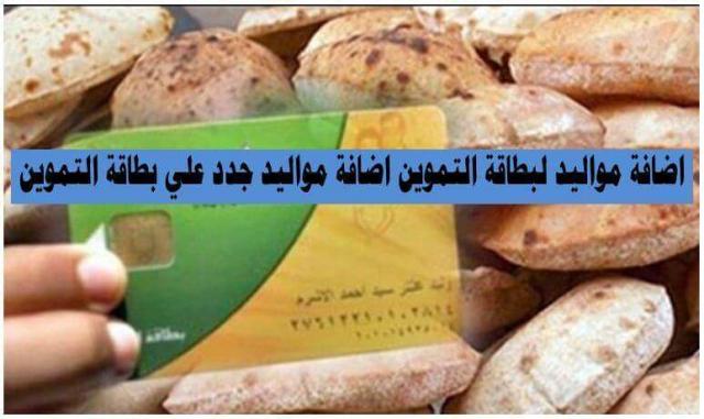 خطوات تحديث بيانات بطاقات التموين 2022