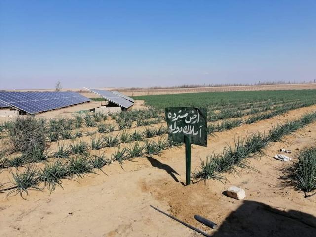 أملاك الدولة