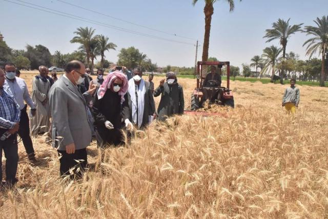 الحدث