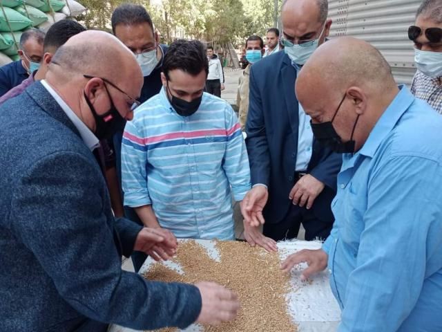 توريد القمح 
