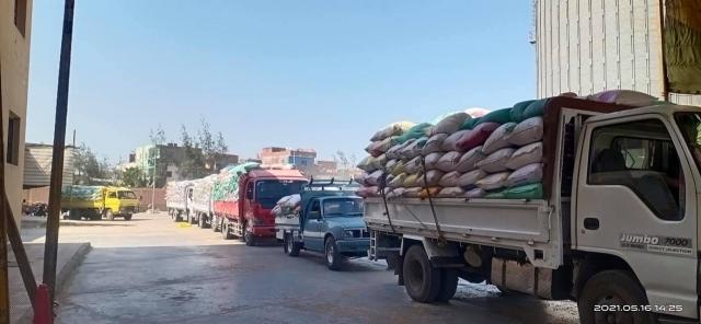 توريد القمح 
