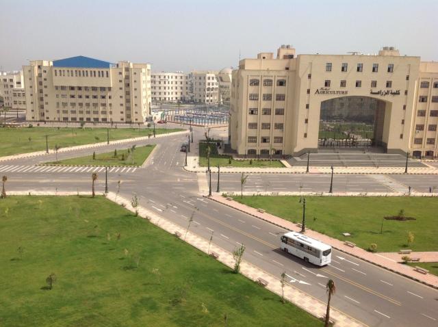 جامعة كفرالشيخ 