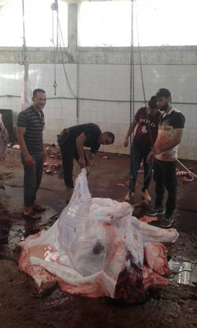 مجازر كفرالشيخ