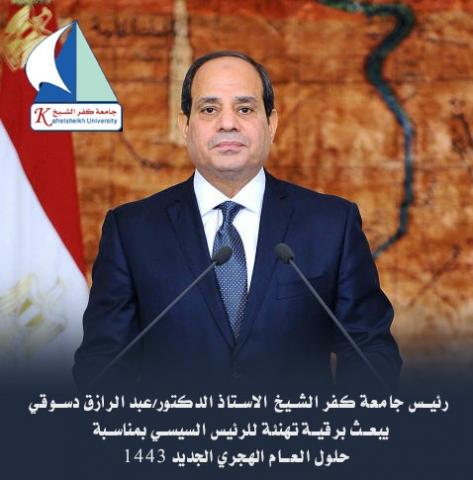 الرئيس السيسي