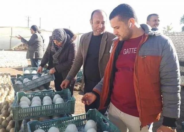 الحدث تنشر صور جبن دهان الحوائط