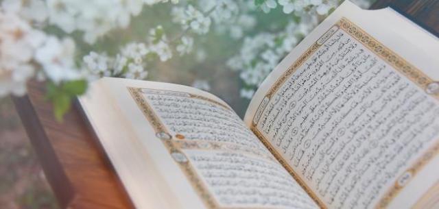 قراة القران