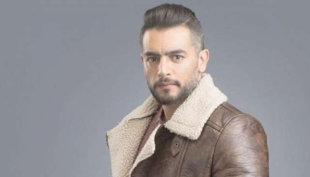 الفنان هاني سلامة