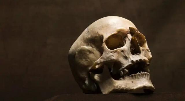 جمجمة من 8 آلاف سنة تثير الرعب بعد العثور عليها في نهر