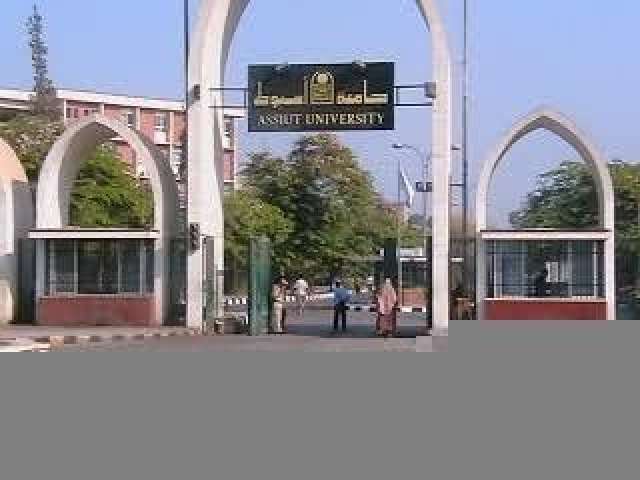 جامعة أسيوط 