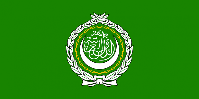 جامعة الدول العربية 