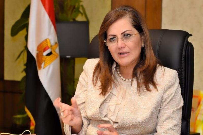 وزيرة التخطيط