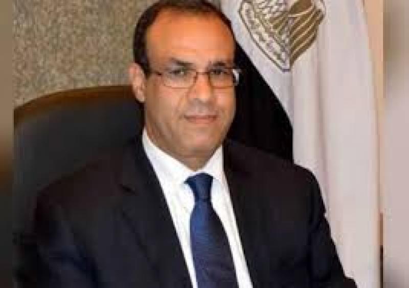 السفير بدر عبدالعاطي