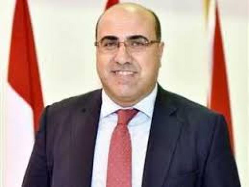الدكتور إبراهيم مصطفى خبير اقتصادي