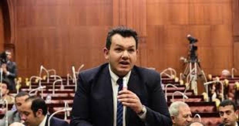 النائب أحمد مقلد
