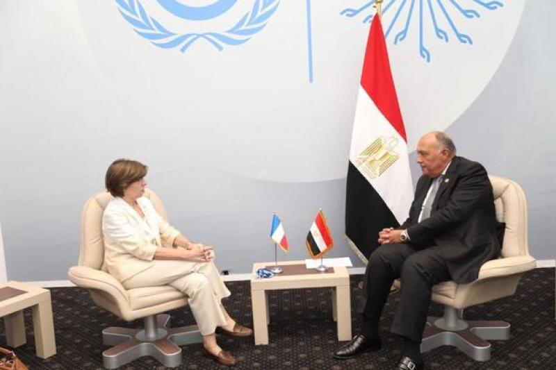 سامح شكري