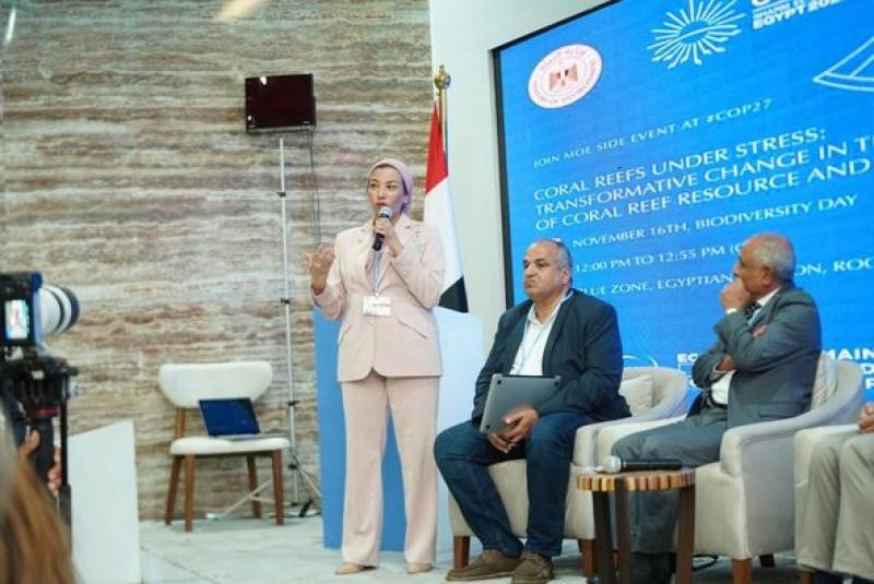 وزيرة البيئة 
