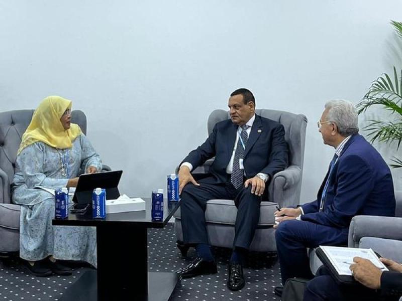 وزير التنمية المحلية