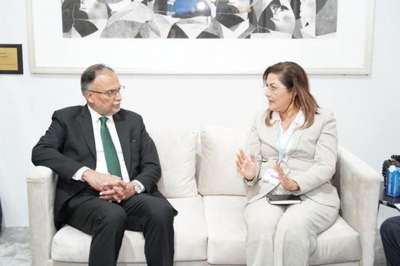 وزيرة التخطيط