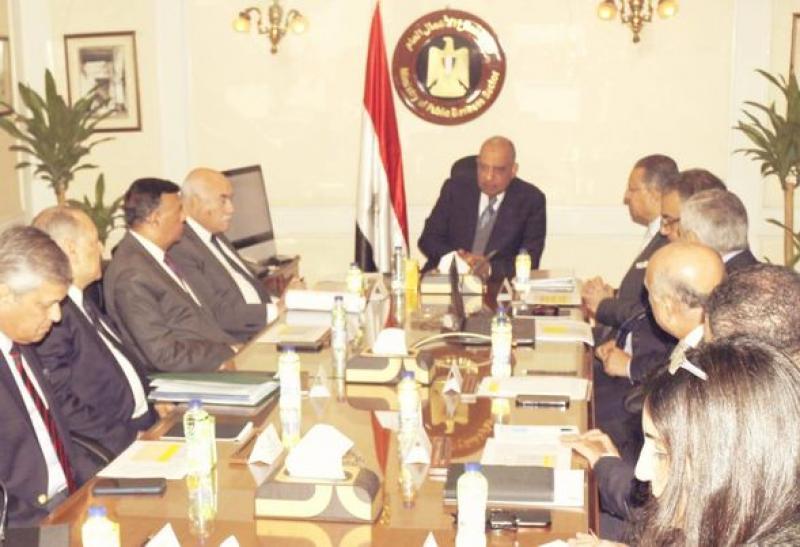 وزير قطاع الأعمال