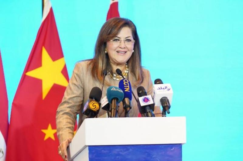 وزيرة التخطيط