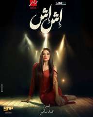 ”يهين المرأة المصرية” نقاد يهاجمون مسلسل ”إش إش” ومخرجه